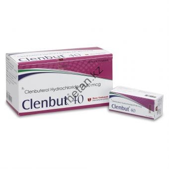 Кленбутерол Shree Venkatesh 10 таблеток (1 таб 40 мкг) - Кокшетау